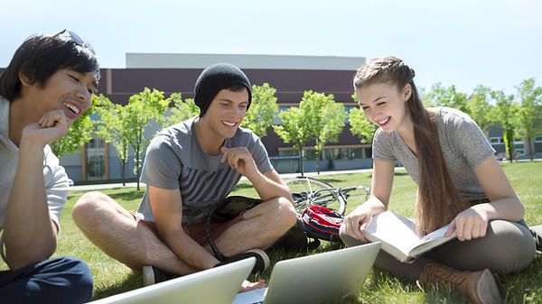 Studying on the Grass