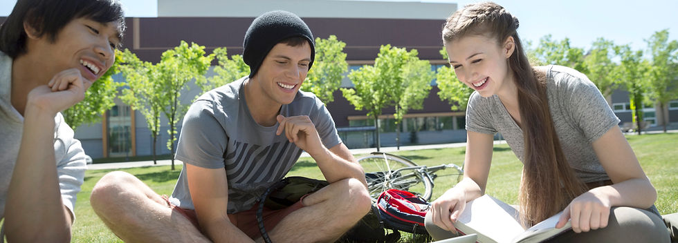 Studying on the Grass