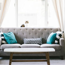 Gray sofa with teal and patterned pillows in a bright room. A cat sits on the window sill behind. Light curtains frame the scene. Cozy vibe.