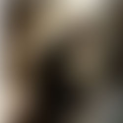 Man kneeling in prayer, hands clasped, bathed in soft light from a window, creating a serene atmosphere. Shadows and muted tones.