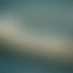 Strings of ivory pearls lie coiled on a muted teal surface, creating an elegant and classic visual contrast.