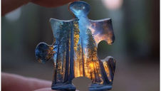 A hand holds a puzzle piece depicting a forest at sunset. Tall trees and a vibrant sky create a serene, picturesque scene.