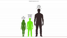 Silhouettes comparing heights of three figures on a chart: a woman, a man, and a giant figure. Text details their heights in cm and ft.
