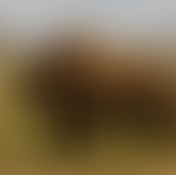 Three glowing unicorns iA mythical creature resembling a furry rhinoceros with a long horn stands in a vast grassy plain under a cloudy sky, exuding majesty.n a mystical forest, surrounded by soft light and colorful flowers, creating an enchanting, magical atmosphere.