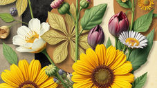 Colorful botanical collage of sunflowers, tulips, daisies and leaves on tan, cream and black paper with faint printed text.