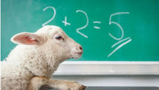 A sheep sits in front of a green chalkboard with "2 + 2 = 5" written in white chalk, creating a humorous, surreal classroom scene.