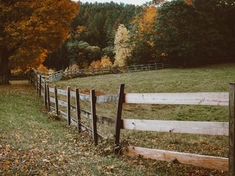 Wooden fence in an autumn field, surrounded by colorful foliage and trees. The scene is calm, with fallen leaves and a cloudy sky
