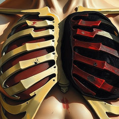 A torso with exposed ribcage and stylized black and red heart. The body is muscular, and the scene is depicted in artistic tones.