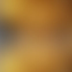 Tall trees reflect on a misty lake under golden sunlight, creating a serene and harmonious forest scene.