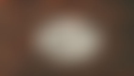 Text bubble on a red brick wall reads "Love is the only language I speak fluently." Mood is warm and contemplative.