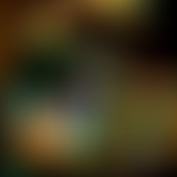 Colorful bokeh lights in circular patterns on a dark background, creating a vibrant and festive atmosphere.