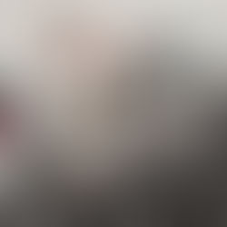 makeup and makeup brushes laid out