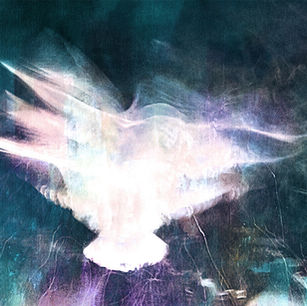 Abstract image of a glowing white bird in motion against a dark, teal background. The ethereal scene evokes a sense of freedom.
