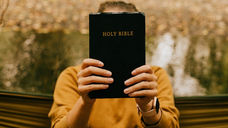 Person in a brown sweater holds a black Holy Bible with gold text outdoors by a peaceful, blurred nature background, evoking reflection.