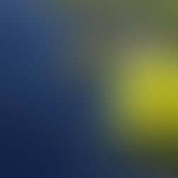 Lillie pads and yellow flower floating on the water