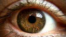 close up of a persons eye