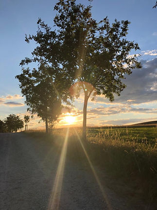 Stella Nera Coaching