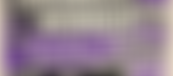 Elas Chegaram: As Novas Embaixadoras Wonder Size 2026