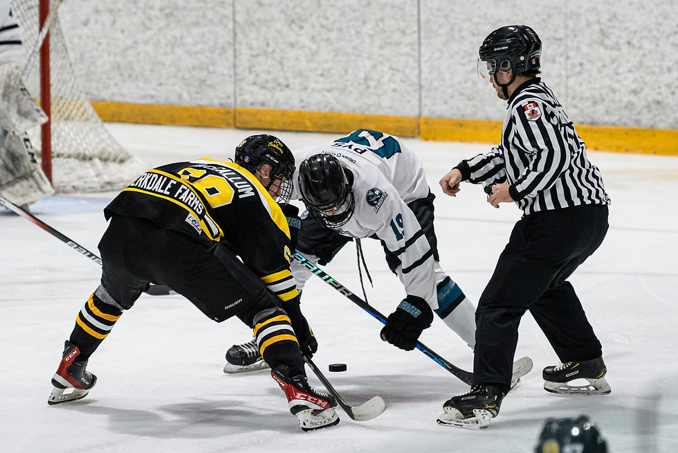 Siskins vs Brantford