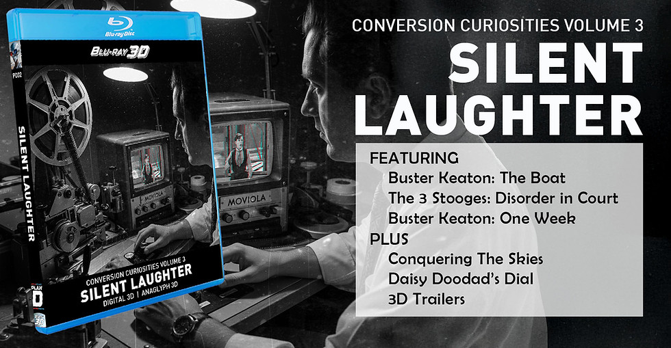 SILENT.LAUGHTER.BANNER copy.jpg