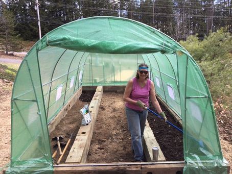 Go Green: Growing Our Own Veggies! Update 6/22