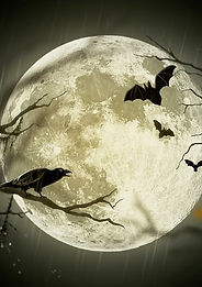 larisa-k-halloween-72939_640.jpg