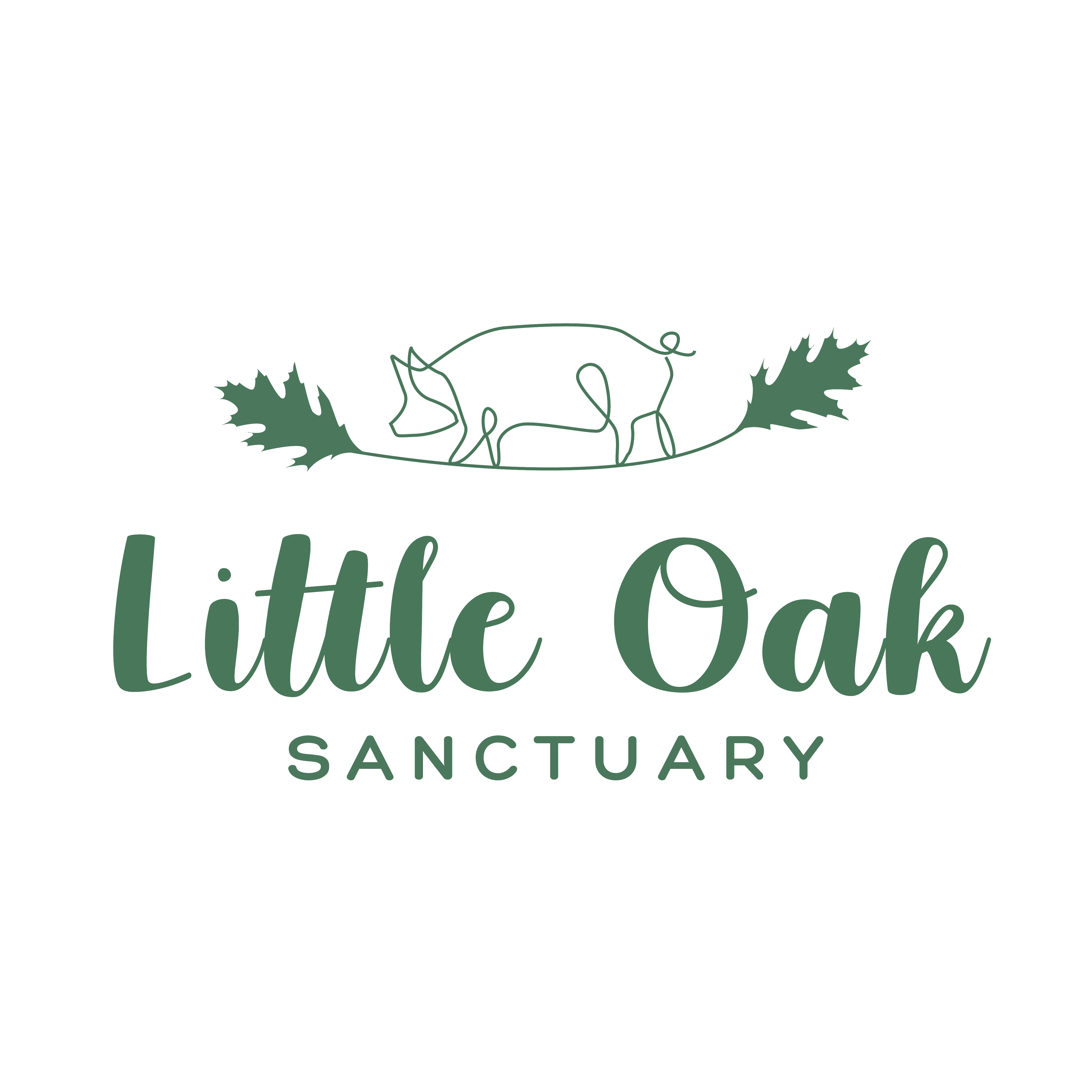 Little Oak Sanctuary Incorporated logo