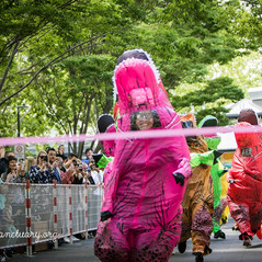 74634377_2545194002238236_32176469353137