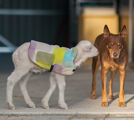 August 23-14b_edited.png