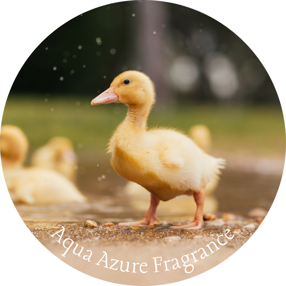 Thumbnail: Soy Candles