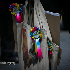 76964115_2545191205571849_69733580619812