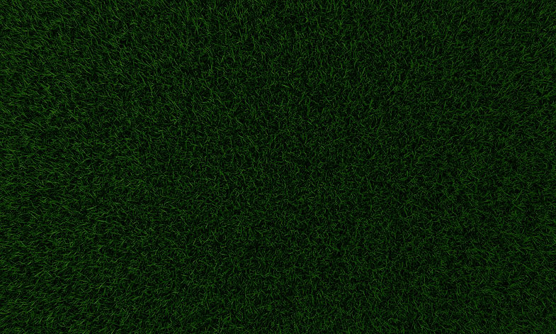 Grass Texture_edited.jpg
