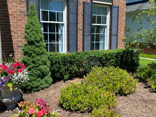 Choosing the Right Plants for Your Landscape in Clarkston, Lake Orion, Goodrich, and Oxford