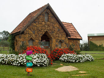 photo_8uenug.jpg