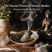 The Sacred Power of Sacred Smoke: Cleansing Beyond the Physical