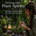 Working with Plant Spirits: Building a Relationship with Nature's Teachers
