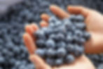 arandanos.jpg