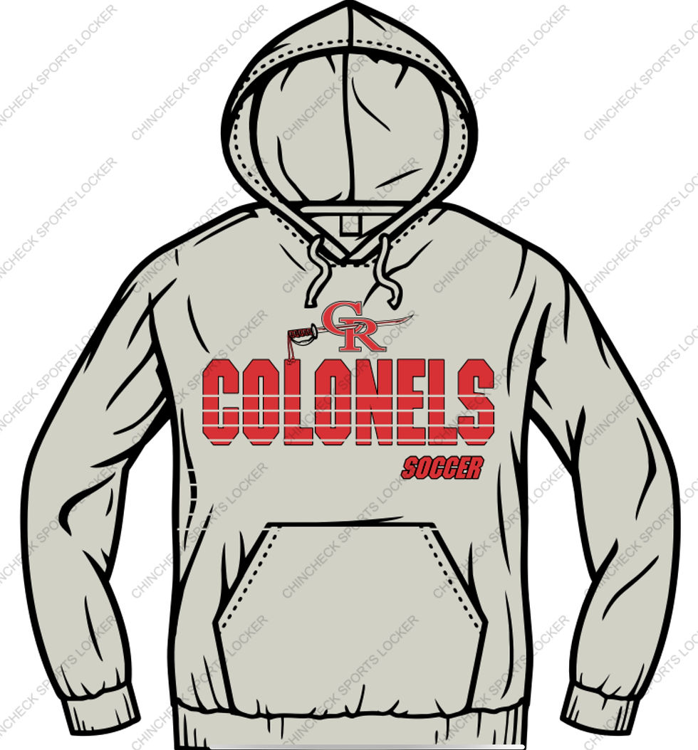 UA women's Cotton HUSLTE Hoody