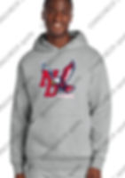 Thumbnail: ND LAX DISTRICT HOODY