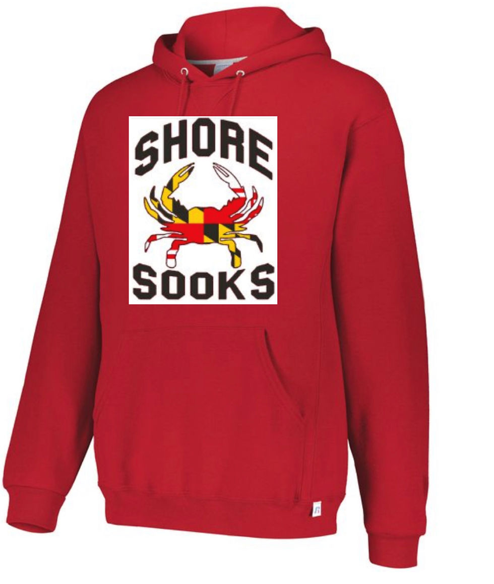 Thumbnail: SOOKS RUSSELL DRI POWER HOODY