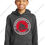 Thumbnail: SMES YOUTH Hoody
