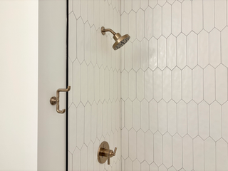 shower hardware 