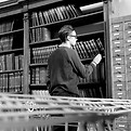 Looking for a Book_edited.jpg