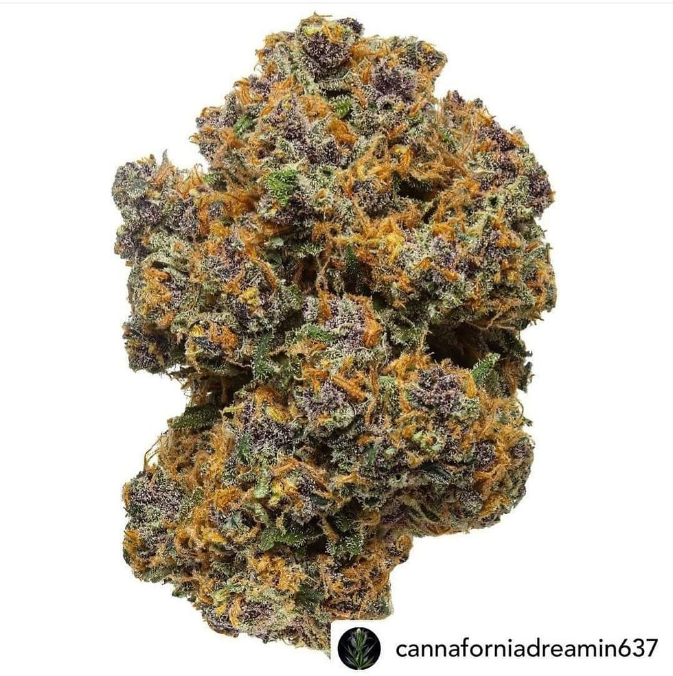 Thumbnail: Monk Fruit