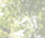 0U1A6274_edited_edited_edited.jpg