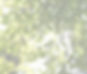 0U1A6274_edited_edited_edited.jpg