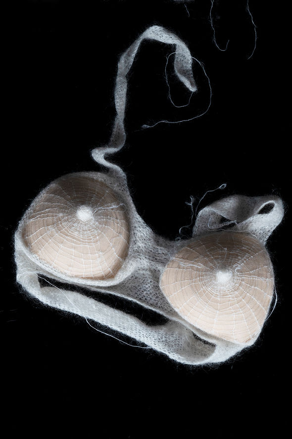 Shed Bosom | Mixed Media