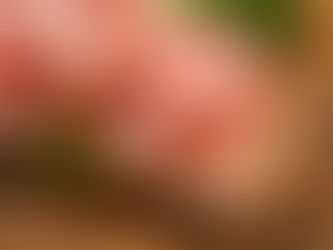 Haydi Şarküteri Konuşalım!