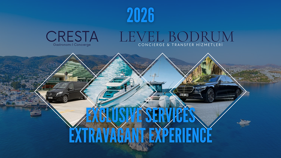 2026 LEVEL TRAVEL AGENCY.pdf (7).png