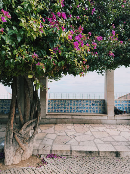 2A85B1E9-4015-4ED4-B047-7BF0A3C96554